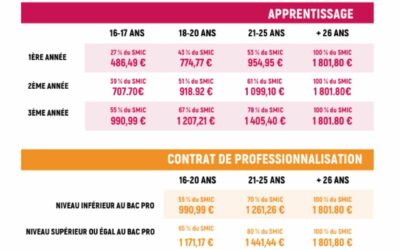ALTERNANCE – REMUNERATION